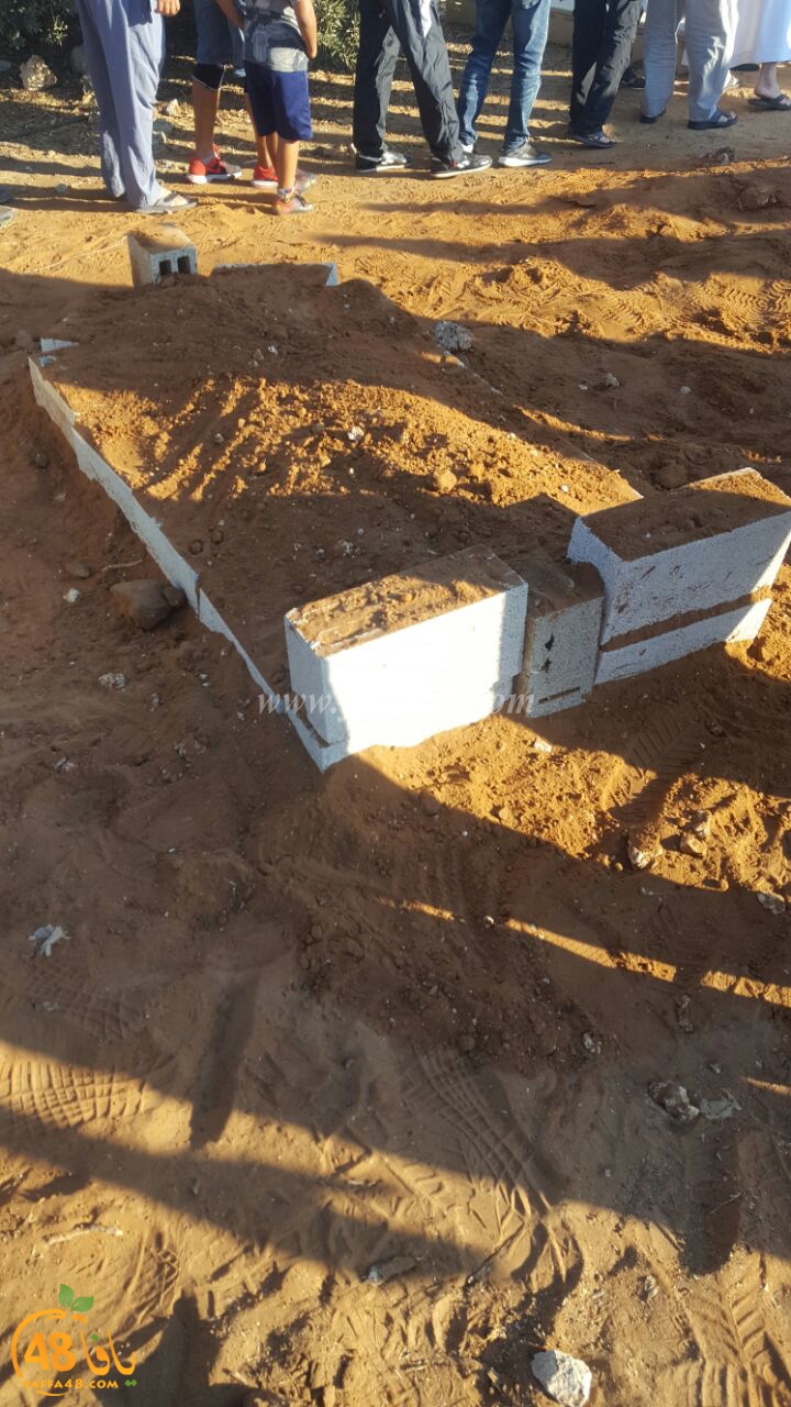 howida ajanaza (2).jpg